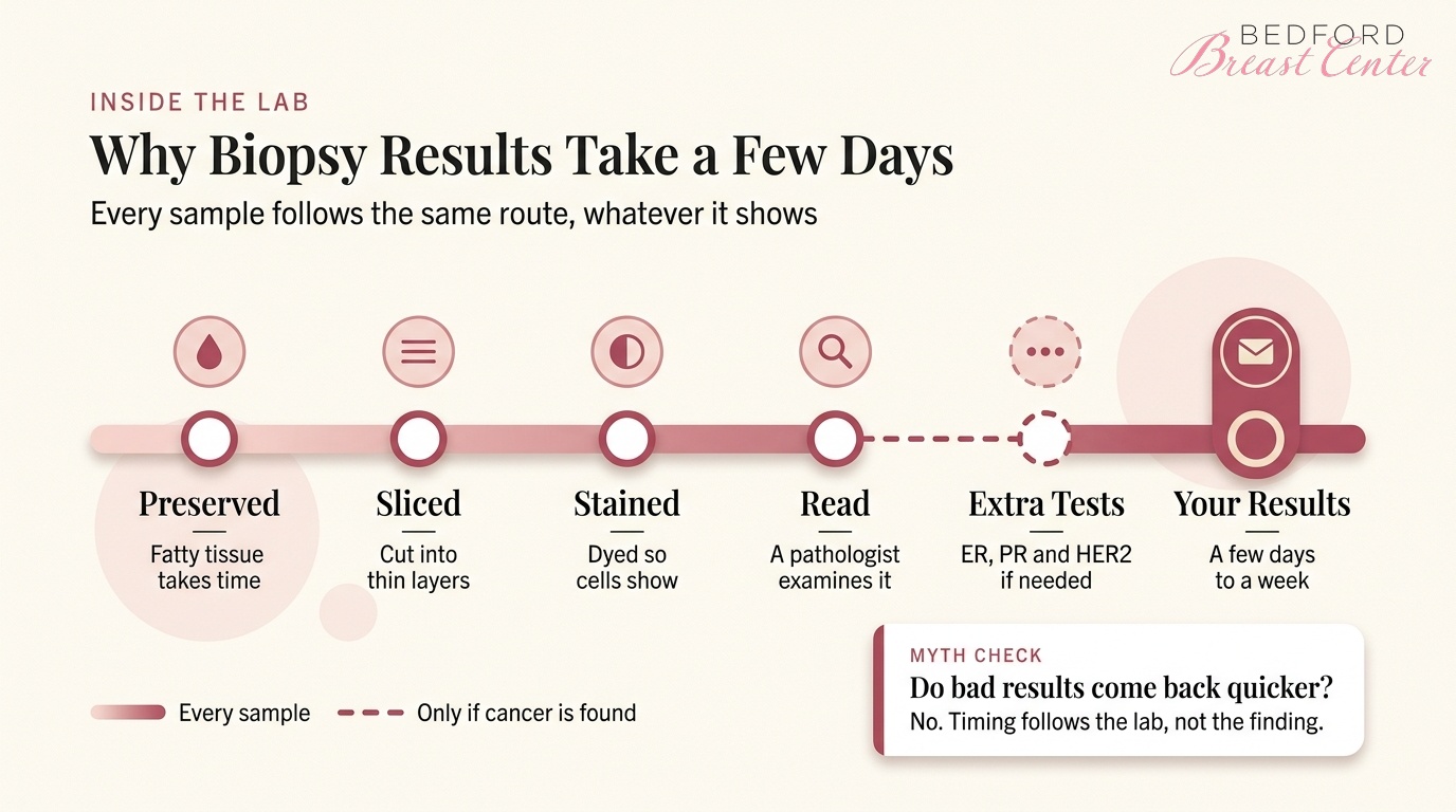 Why breast biopsy results take a few days, from preserving and staining tissue to extra ER, PR and HER2 tests