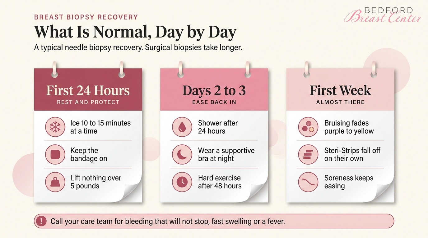 Breast biopsy recovery day by day, showing what is normal in the first 24 hours, days 2 to 3 and the first week